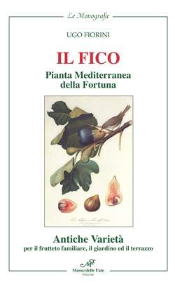 Il fico pianta mediterranea della fortuna - Antiche varietà per il frutteto familiare, il giardino ed il terrazzo