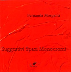 Suggestivi spazi monocromi. Fernanda Morganti