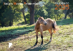 La luce dell'anima - Calendario 2025