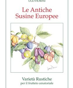 Le antiche susine europee