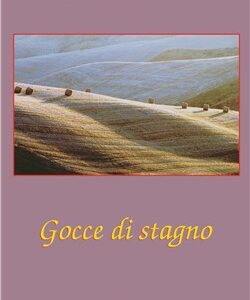 Gocce di Stagno