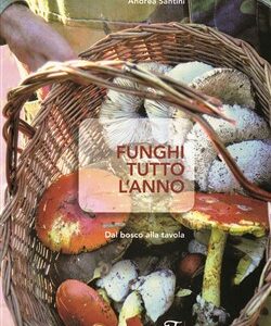 Funghi tutto l'anno - Dal bosco alla tavola