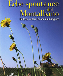 Erbe spontanee del Montalbano