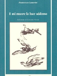 E mi muore la luce addosso