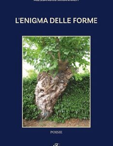 L'enigma delle forme