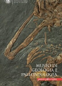 Museo di Geologia e Paleontologia