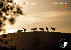 Legami. Calendario 2024